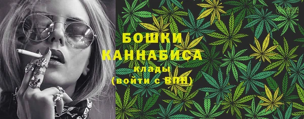 стаф Ельня
