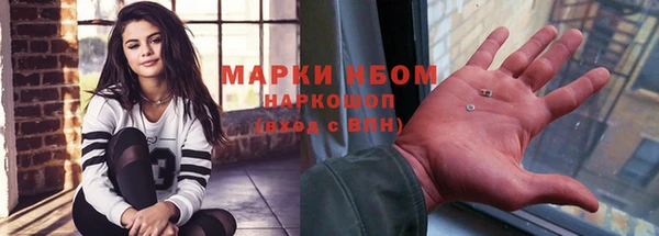 стаф Ельня