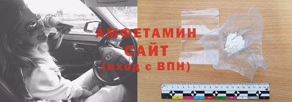 стаф Ельня