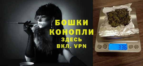 стаф Ельня