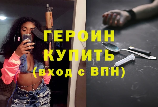 стаф Ельня
