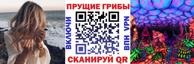 Купить где  Приморск  Псилоцибиновые грибы Magic Shrooms 